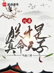 元末朕才是真命天子 在线阅读