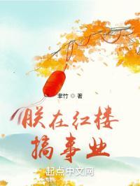 我在红楼做佞臣txt