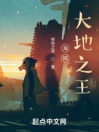 海贼王之大地系统