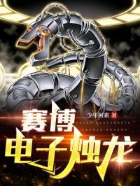 赛博龙科技有限公司