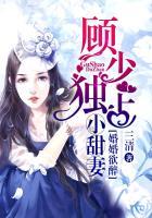 婚婚欲睡顾少宠不停