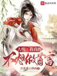 大明我真的不想做首富