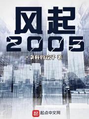 风起2005全本TXT资源