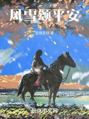 风雪平安夜视频