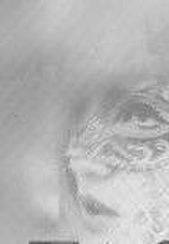 假面女王是什么意思