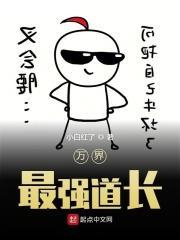 诸天至高红尘道主