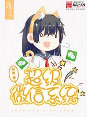超级微信系统森破小子