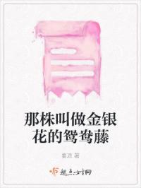 耐寒金银花鸳鸯藤