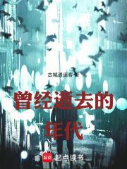 曾经逝去的年代追读