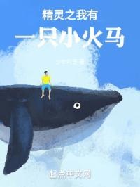 精灵之我有一只小火马免费阅读
