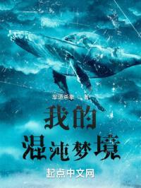 我的混沌梦境百度百科