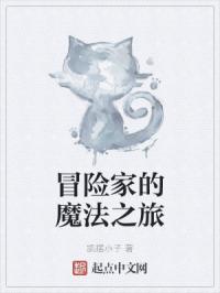 冒险家的魔法之旅攻略