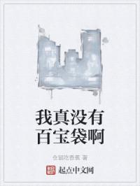 我真没有百宝袋啊免费阅读