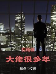 我做大佬这些年