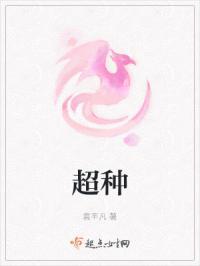 超种马直升机参数