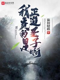 我真的是正道圣子啊免费阅读