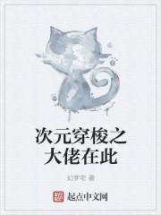 穿梭于次元的大武僧