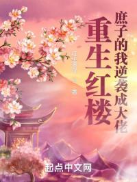 重生红楼之庶子风流 起点