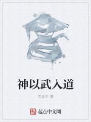 什么叫以武入道