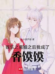 娱乐之离婚以后