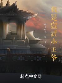 我是宣武小王爷免费阅读