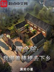 四合院我竟穿越成棒梗