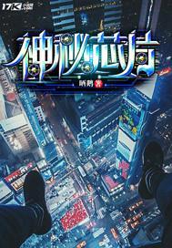 第13章神秘芯片是什么