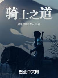 骑士之道是什么意思