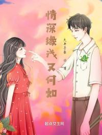 情深缘浅是哪首歌的歌词