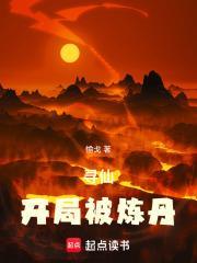 寻仙炼神辟魔过三灾度