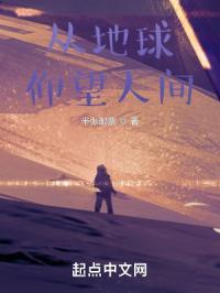 仰望地球之巅按什么顺序