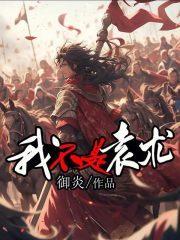 我不是袁术无弹窗 书旗