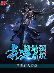 我的最强系统之王