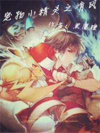 宠物小精灵之小风