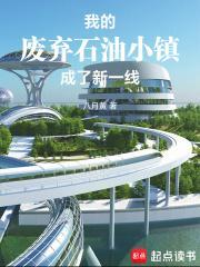 我的废弃石油小镇成了新一线TXT