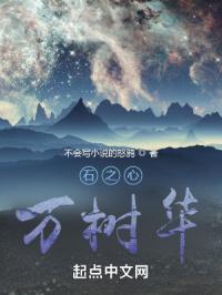 石之心百科
