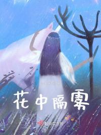 雾里看花终隔一层