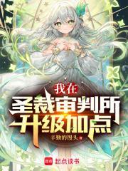 我在圣裁审判所升级加点笔趣阁