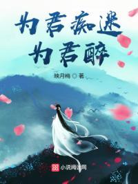 为君沉醉又何妨下半句是什么