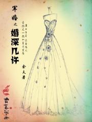 军婚之婚深几许结局