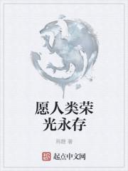 愿人类荣光永存 尼尔 截图