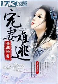 宠妻难追全文免费阅读