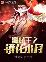 海贼之镜花水月免费阅读