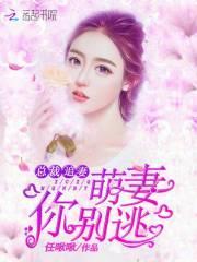 总裁追妻萌宝别挡路