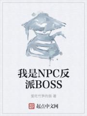 我是npc什么意思