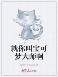 宝可梦大师视频