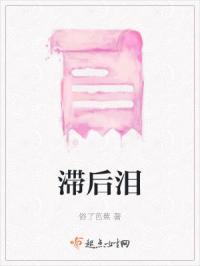 滞后现象的后果