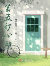 心动五秒钟