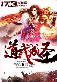 武道成圣txt