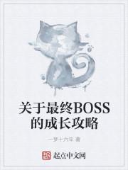 最终boss成长日志